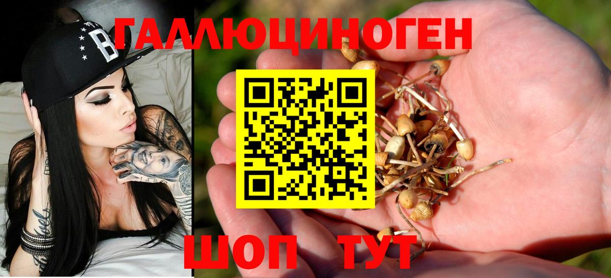 Псилоцибиновые грибы MAGIC MUSHROOMS Алапаевск